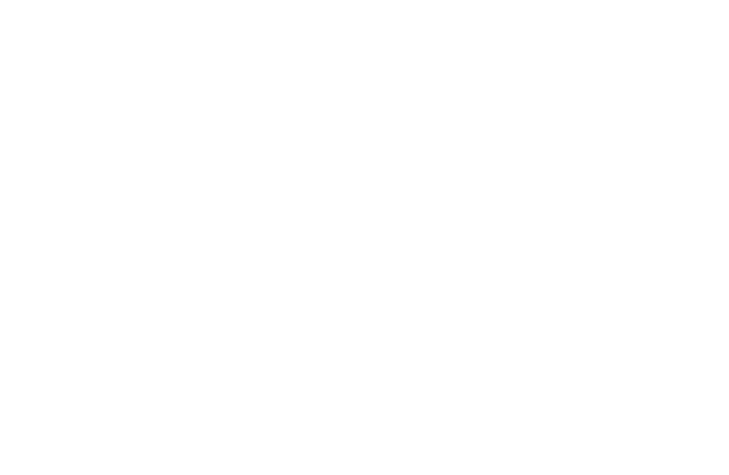 Chauvet Professional